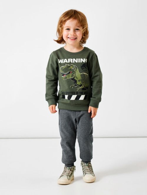 Hovedbilde Jurassic park T-rex - Name it